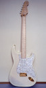 Fender Japan Stratcaster Richie Kotzen Model